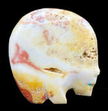 Stewart Quandelacy Marble Medicine Bear Fetish
