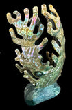Abalone Shell Zuni Sea Horse Fetish Pueblo Native American Totem Carving
