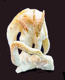 Fossilized Ivory Dragon Fetish Zuni Indian Carving
