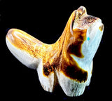 Robert Weahkee Cat Fetish Zuni Indian Antler Animal Carving