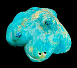 Leekya Turquoise Frog Fetish