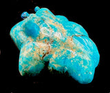 Leekya Turquoise Frog Fetish American Indian Stone Animal Carving