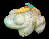 Serpentine Frog Fetish