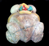 Serpentine Frog Fetish