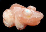 Orange Frog