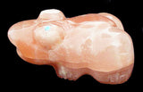 Orange Frog