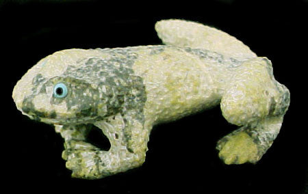 Travis Lasiloo (D) Frog Fetish