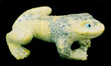 Travis Lasiloo (D) Frog Fetish
