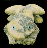 Travis Lasiloo (D) Frog Fetish