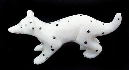Dalmatian Fetish