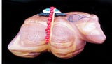 Cedar Bear Sculpture