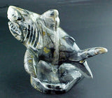 Great White Shark Fetish Keli'i Eli Zuni Indian Carver Artist