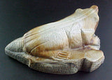 Herbert Him Pueblo Badger Fetish Zuni Indian Master Carver Artist