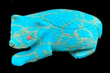 Turquoise Badger Fetish Zuni Indian Stone Animal Carving