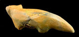 Sarah Leekya Wolf Fetish American Indian Stone Animal Carving