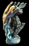 Abalone Shell Zuni Sea Horse Fetish Western Indian Totem carving