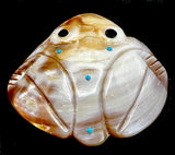 Pueblo Shell Zuni Frog Fetish