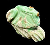 Ricky Laahty Turquoise Frog Fetish Southwestern Pueblo Zuni Indian Carving