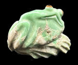Ricky Laahty Turquoise Frog Fetish Pueblo American Indian Carving