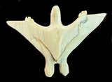 Pterodactyl Fetish Southwestern Pueblo Zuni Indian Carving