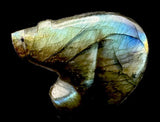 Labradorite Zuni Bear Fetish American Indian Stone Animal Carving