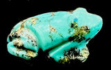 Turquoise Frog Fetish Zuni Indian Stone Amphibian Carving