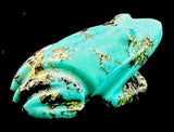 Turquoise Frog Fetish American Indian Stone Amphibian Carving