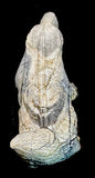 Herb Him Sr Badger Fetish Western Pueblo New Mexico Indian Carving