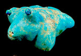 Leekya Turquoise Frog Fetish Zuni Indian Stone Amphibian Carving