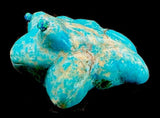 Leekya Turquoise Frog Fetish Native American Stone Amphibian Carving