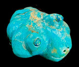 Leekya Turquoise Frog Fetish American Indian Stone Amphibian Carving