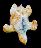 Zuni Picasso Marble Turtle Fetish Hand Carved Indian Stone Animal Carving