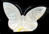 Mother of Pearl Butterfly Fetish Zuni Indian Shell Insect Carving