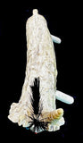 Stewart Quandelacy Antler "Ugly Monster" Fetish  Hand Carved Animal Totem