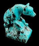 Turquoise Wolf Fetish Zuni Indian Stone Animmal Carving