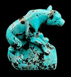 Turquoise Wolf Fetish American Indian Zuni Stone Animal Carving