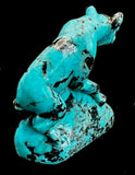 Turquoise Wolf Fetish Western Pueblo Zuni Indian Stone Animal Totem