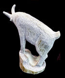 Charles Martinez Jr Mountain Goat Fetish Southwestern Pueblo Zuni Indian Antler Animal Carving