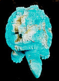 Florentino Martinez Turquoise Turtle Pueblo Fetish Pueblo Stone Reptile Carving