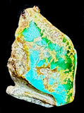 Ricky Laahty Turquoise Frog Fetish