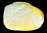 Ron Laahty(D) Gold Lip Mother of Pearl Maiden Carving Native American Zuni Master Artist Carver