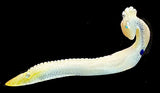 Mother of Pearl Kolowisi Water Serpent