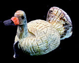 Thanksgiving Turkey