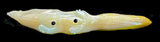 Ricky Laahty Mother of Pearl Wolf (with frog)Fetish American Indian Shell Animal Carving