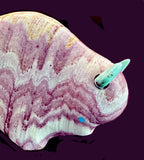 Lynn Quam Wonderstone  Buffalo Fetish
