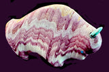 Lynn Quam Wonderstone  Buffalo Fetish