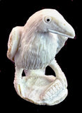 Pernell Laate Antler Crow Fetish