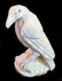 Pernell Laate Antler Crow Fetish