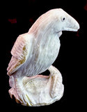 Pernell Laate Antler Crow Fetish