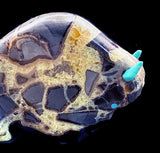 Lynn Quam Septarian Nodule Buffalo Fetish